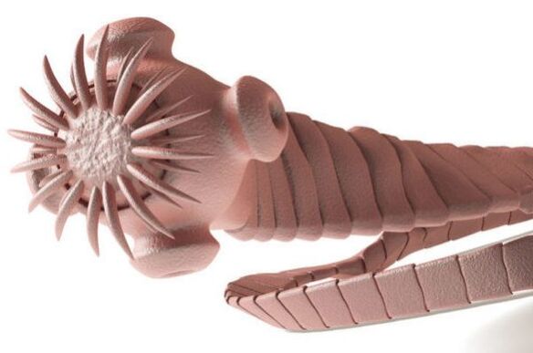 parazita iz ljudskog tijela