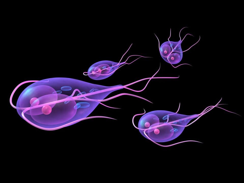 Giardia iz ljudskog tijela